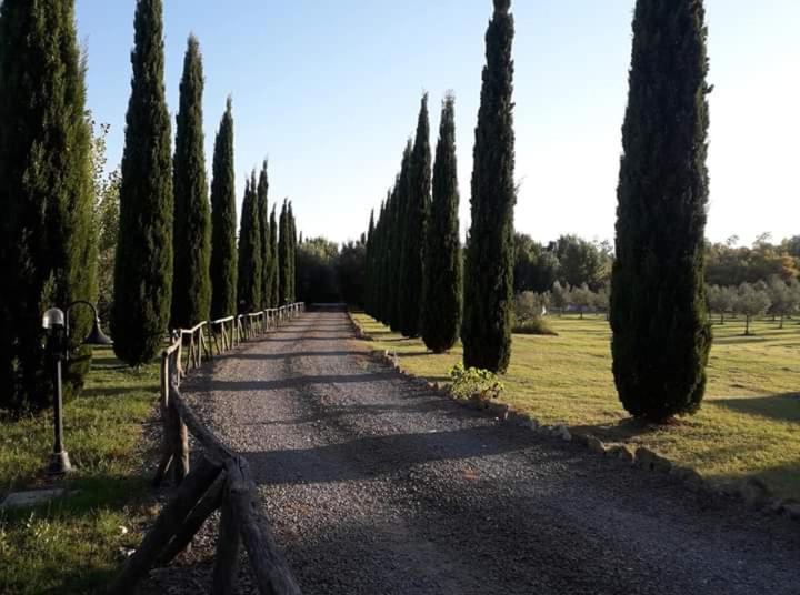 Agriturismo Lupo Cerrino Guest House Tarquinia Exterior photo