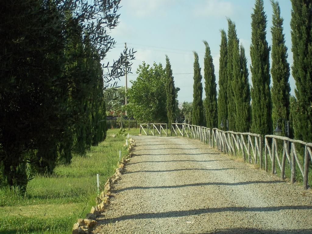 Agriturismo Lupo Cerrino Guest House Tarquinia Exterior photo